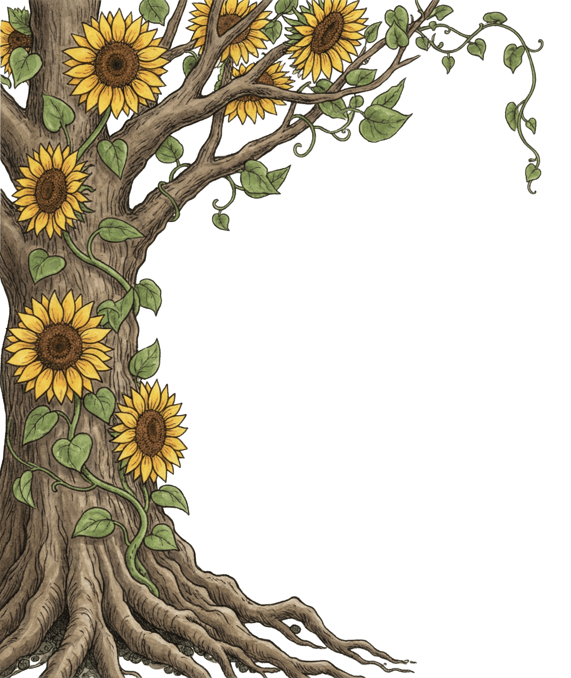The Oak and Sunflower cover illustration